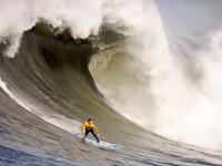 郭艾伦赛点兑现，明尼苏达森林狼淘汰曼联晋级四强，主帅激动落泪